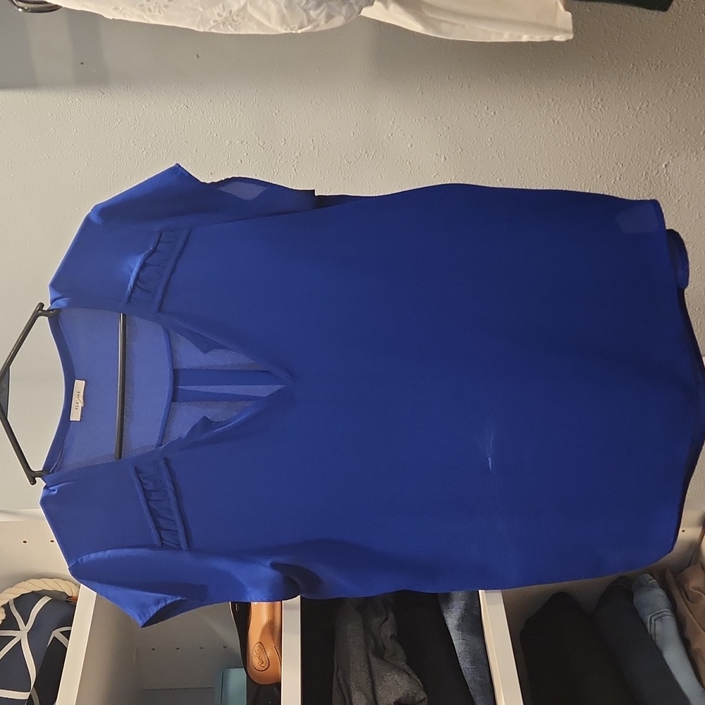 Vibrant blue blouse